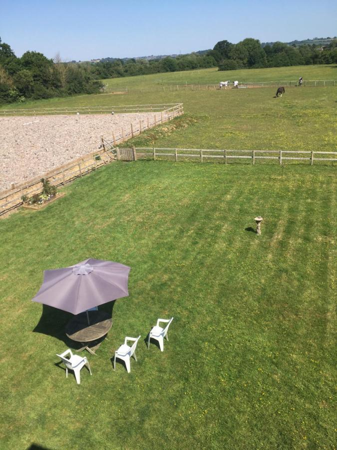 Folly Fields Farm B&B Yetminster Bagian luar foto
