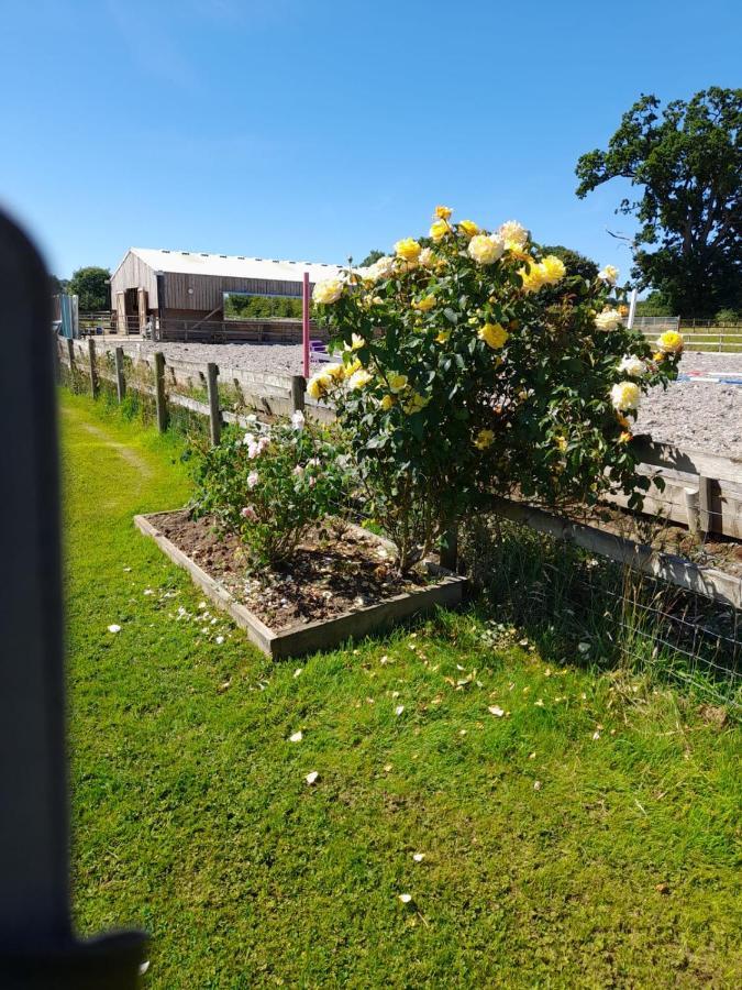 Folly Fields Farm B&B Yetminster Bagian luar foto